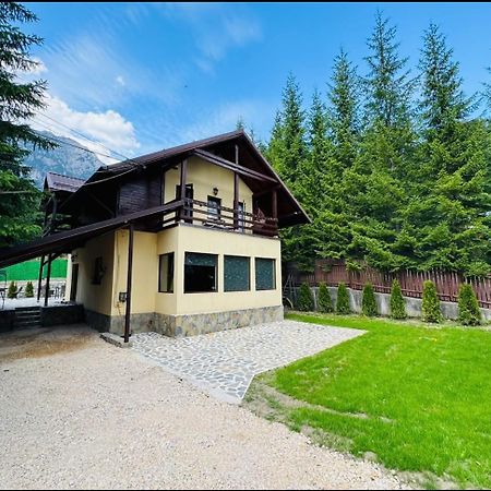 Ollie'S Mountain Chalet Buşteni Eksteriør bilde
